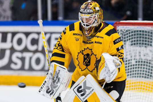 Skellefteås målvakt Linus Söderström