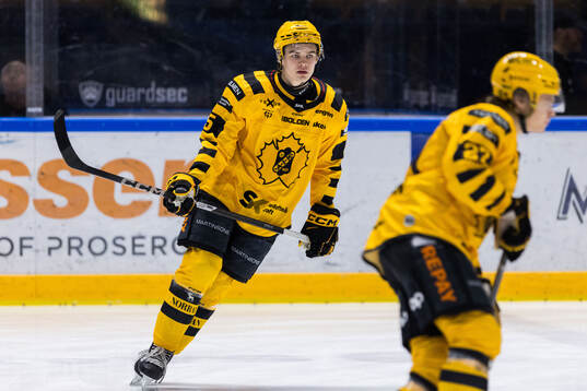 Skellefteås Axel Sandin Pellikka