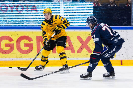Bläddra bland fler bilder av Ishockey, SHL, Linköping - Skellefteå