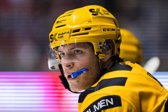Skellefteås Rickard Hugg