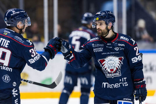 Linköpings Max Martin jublar 1-1