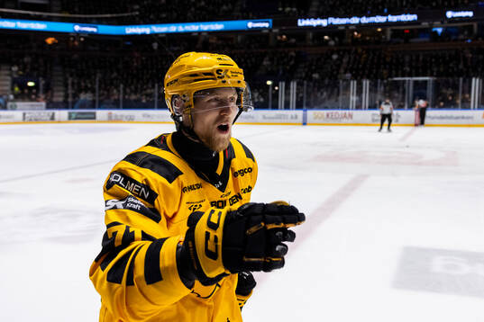Skellefteås Jonathan Davidsson jublar