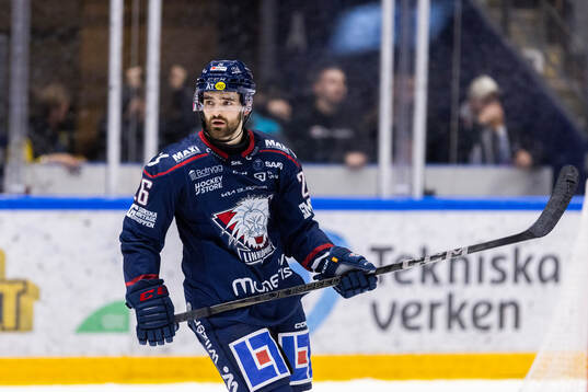 Linköpings Max Martin jublar