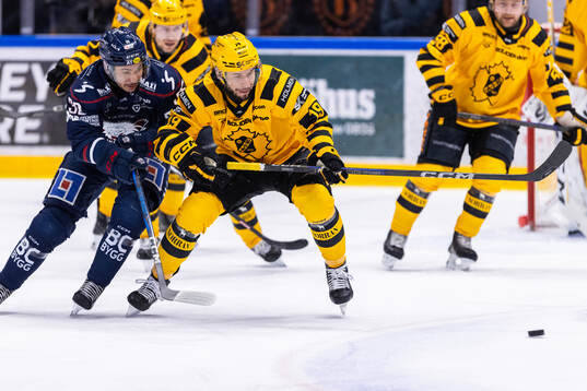 Linköpings Ty Rattie och Skellefteås Martins Dzierkals