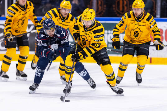 Linköpings Ty Rattie och Skellefteås Martins Dzierkals