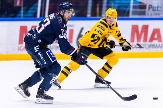 Linköpings Nicholas Shore