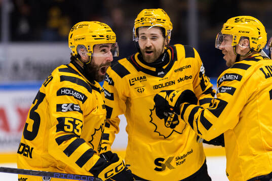 Skellefteås Luke Witkowski jublar med Pär Lindholm