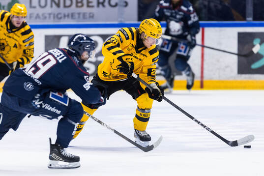 Skellefteås Michael Brandsegg-Nygård