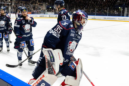 Linköpings målvakt Adam Werner