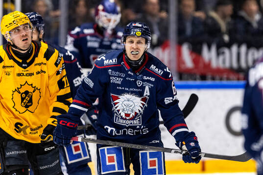 Linköpings Markus Ljungh deppar