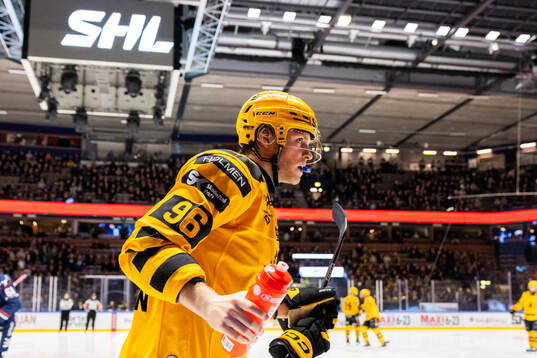 Skellefteås Rickard Hugg