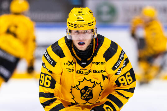 Skellefteås Rickard Hugg