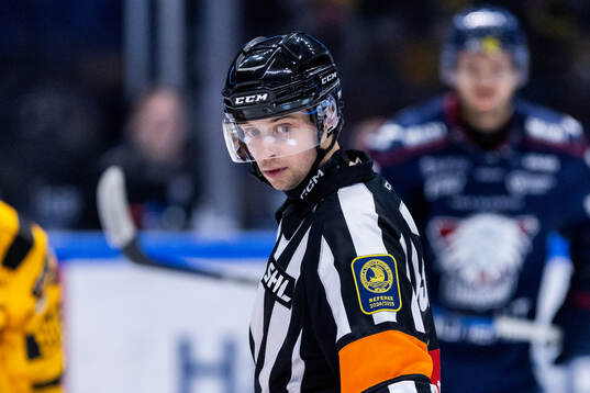 Domare Johan Wedin