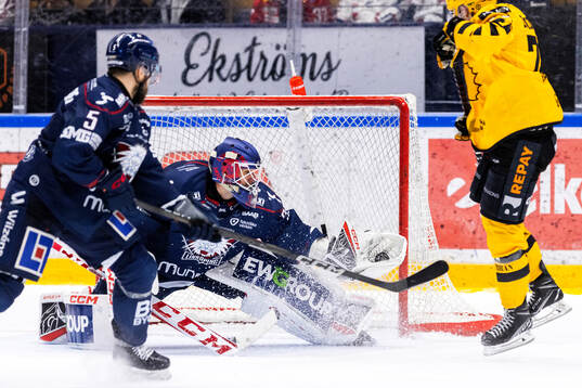 Linköpings målvakt Adam Werner
