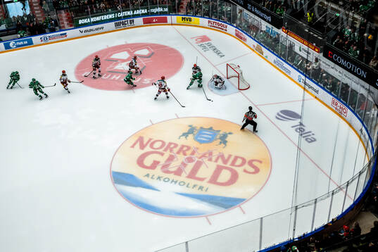 Norrlands Guld reklam i isen