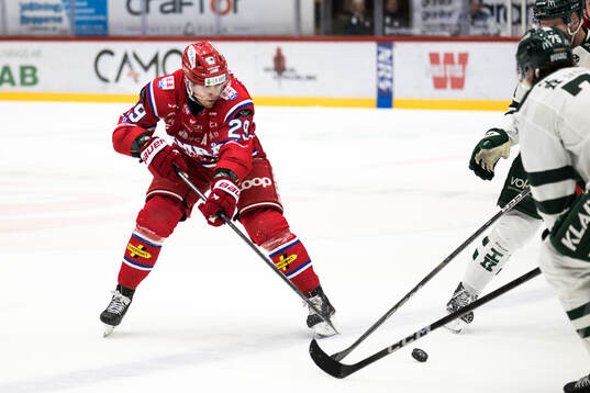 Timrås Filip Hållander