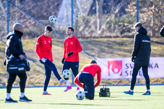Helsingborgs spelare