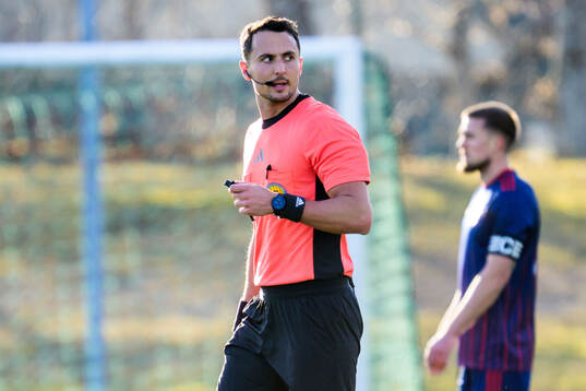 Domare Adi Aganovic