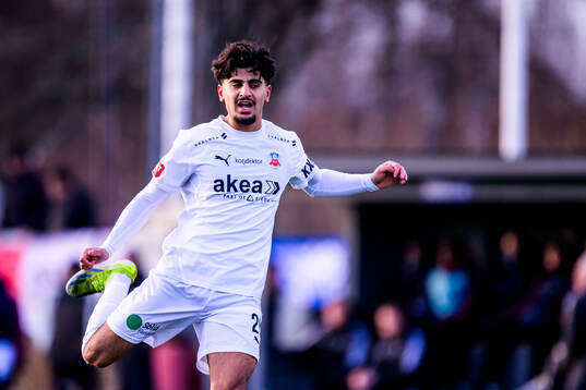 Helsingborgs Baker Amer