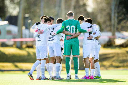 Helsingborgs spelare