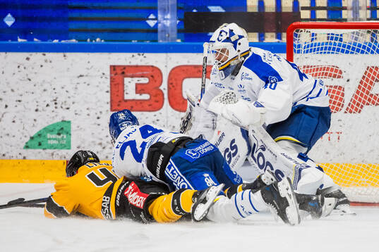 Leksands målvakt Mantas Armalis