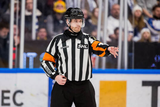Domare Daniel Eriksson