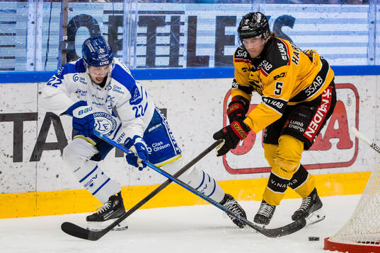 Leksands Lukas Vejdemo och Luleås Marcus Hardegård
