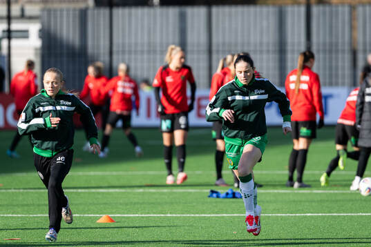 Hammarbys spejare
