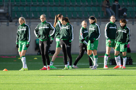 Hammarbys spejare