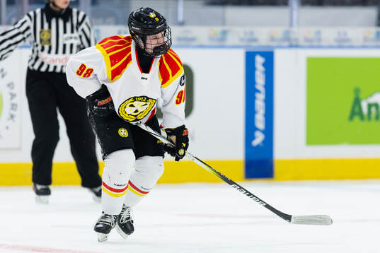 Brynäs Tilde Sundnäs Grillfors har ont