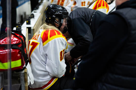 Brynäs Anna Brenkle har ont