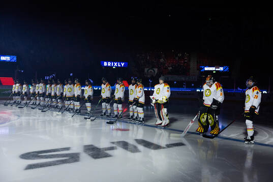 Brynäs  spelare på line up