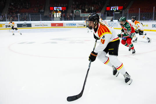 Brynäs Jenny Antonsson