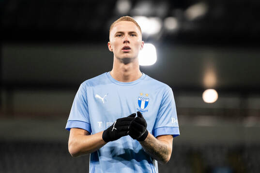 Malmö FFs Daniel Gudjohnsen