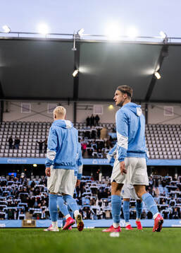 Malmö FFs Erik Botheim
