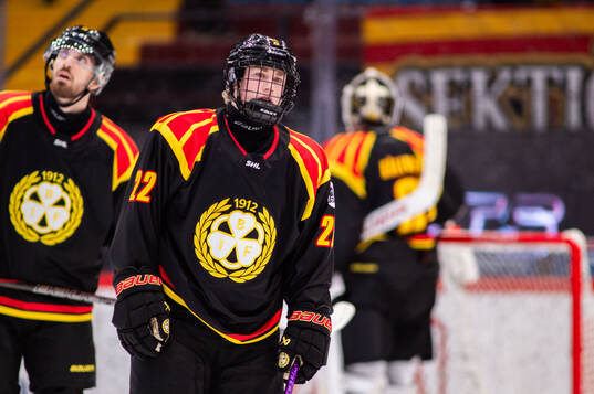 Brynäs Leo Sundqvist deppar