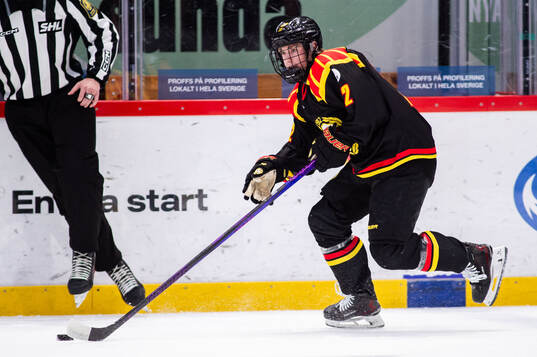 Brynäs Leo Sundqvist