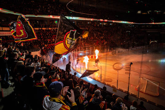 Brynäs målvakt Erik Källgren gör entré