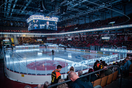 Monitor ERP Arena