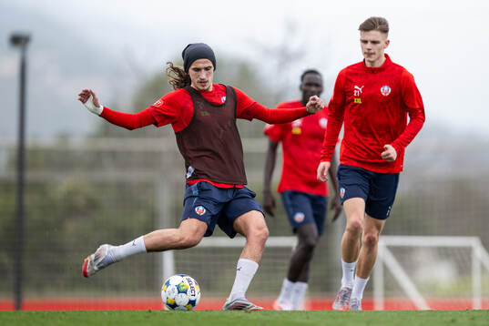 Ervin Gigovic och Adrian Svanbäck