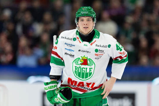 Rögles Gregor Biber