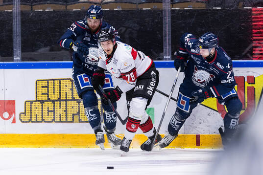 Bläddra bland fler bilder av Ishockey, SHL, Linköping - Malmö Redhawks