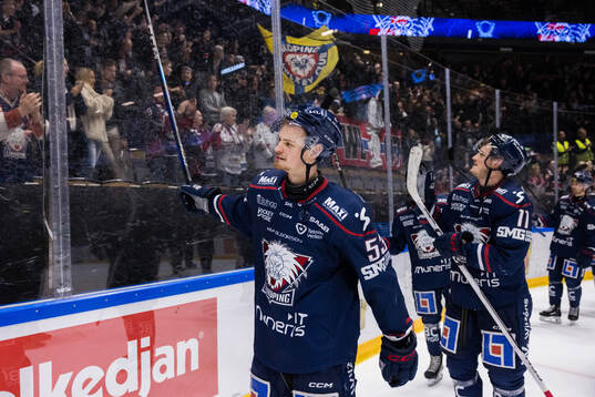 Linköpings Adam Hofbauer och Henrik Törnqvist jublar