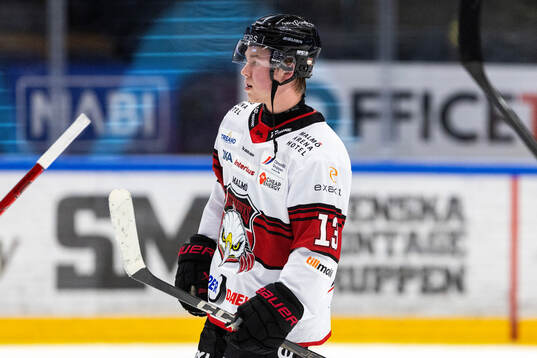 Malmö Redhawks Petter Vesterheim deppar