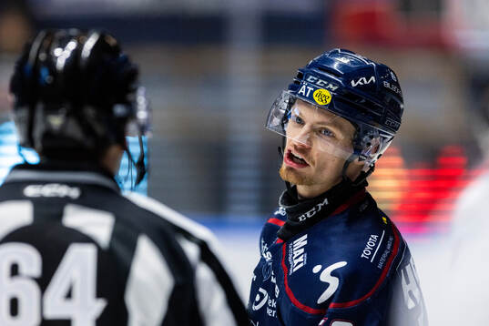 Linköpings Adam Hofbauer