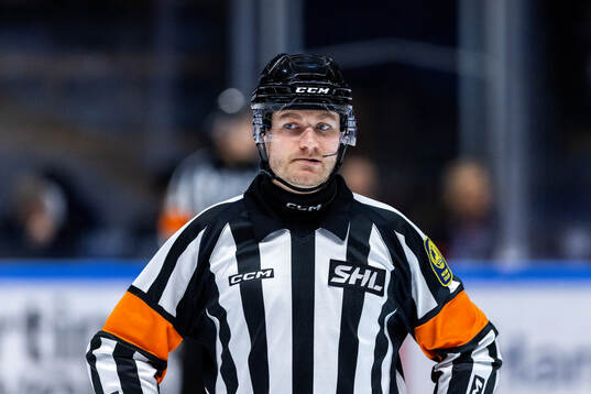 Domare Daniel Eriksson