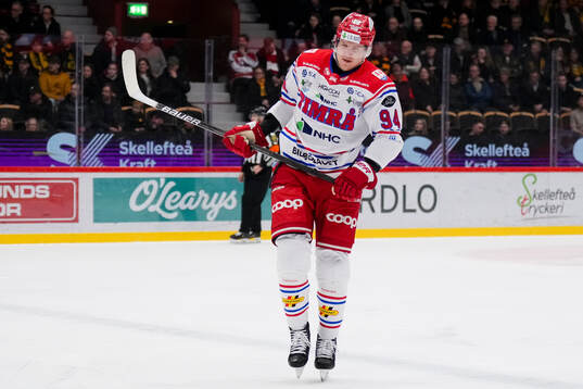 Timrås Sebastian Hartmann