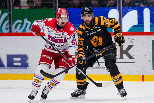 Timrås Anton Lander och Skellefteås Luke Witkowski
