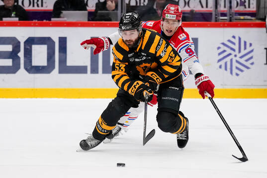 Skellefteås Luke Witkowski och Timrås Anton Lundmark