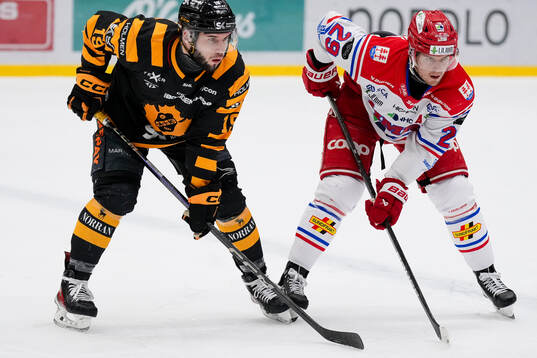 Skellefteås Martins Dzierkals och Timrås Filip Hållander